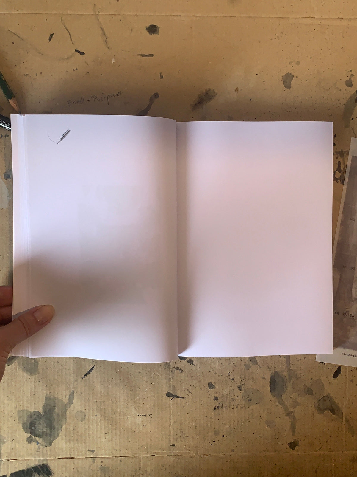 Freie Doppelseite